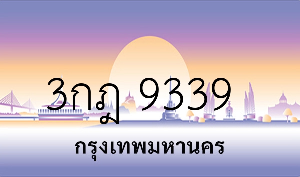 3กฎ 9339